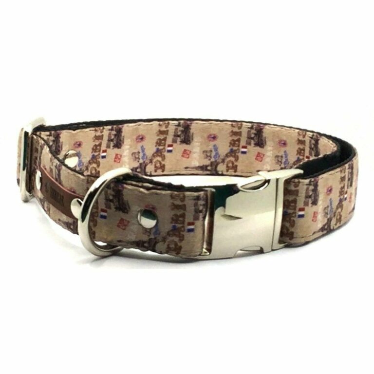 Durable Designer Dog Collar No.21L