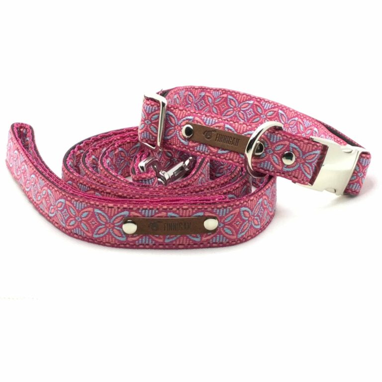 Durable Designer Dog Collar Set No.11l
