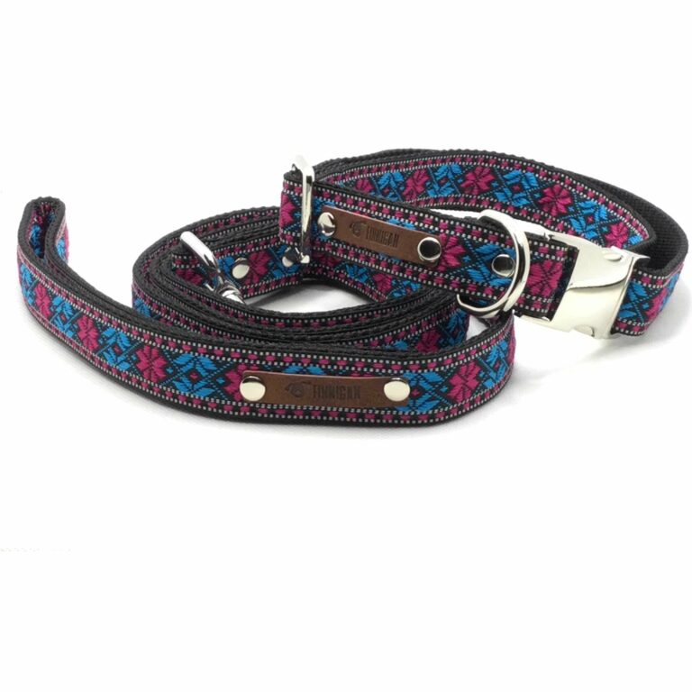 Durable Designer Dog Collar Set No. 9l