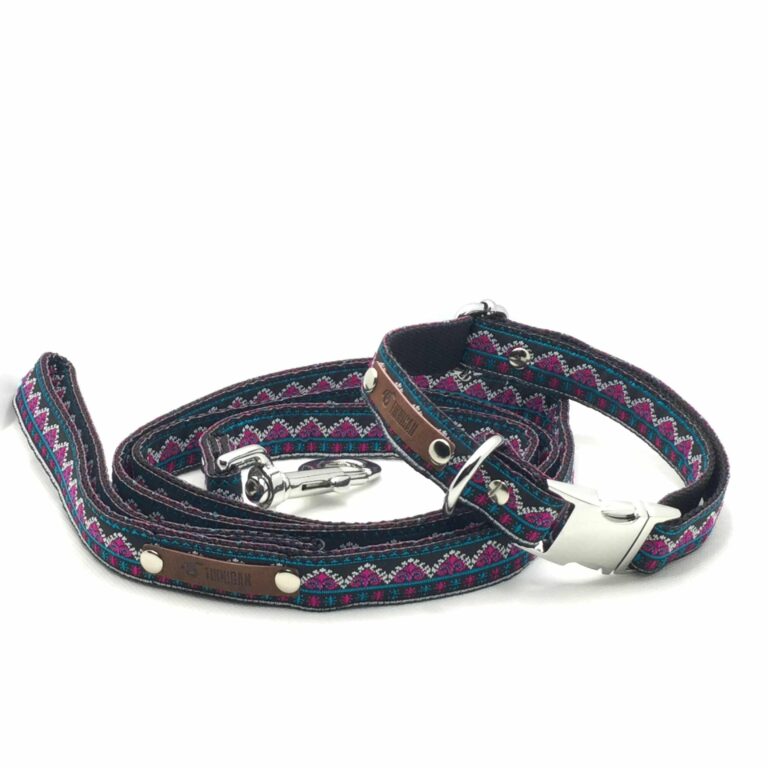 Durable Designer Dog Collar Set No.31m