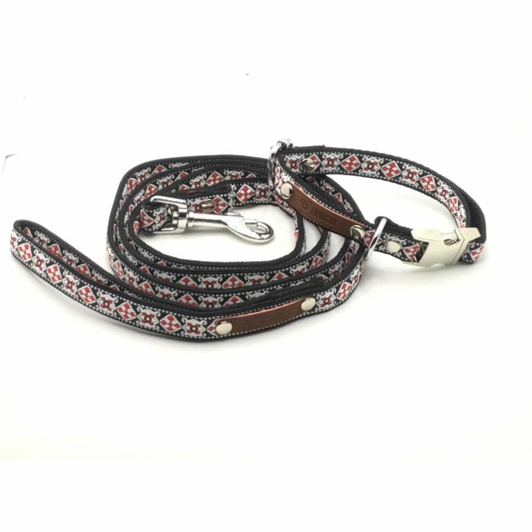 Durable Designer Dog Collar Set No.12s