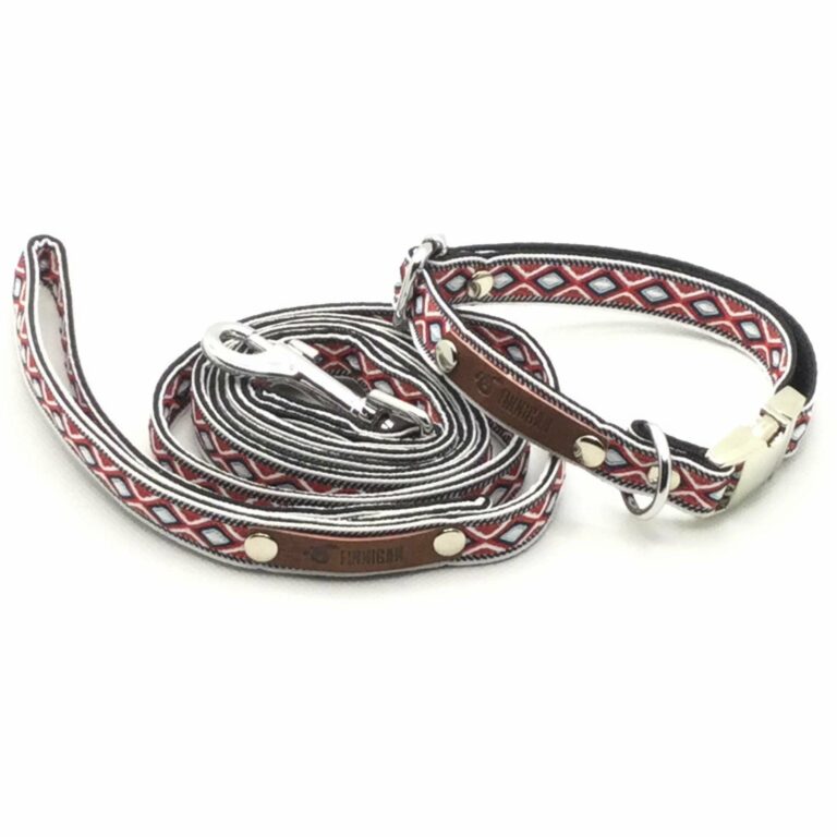 Durable Designer Dog Collar Set No.19s
