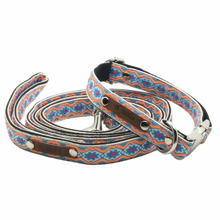 Durable Designer Dog Collar Set No.29m