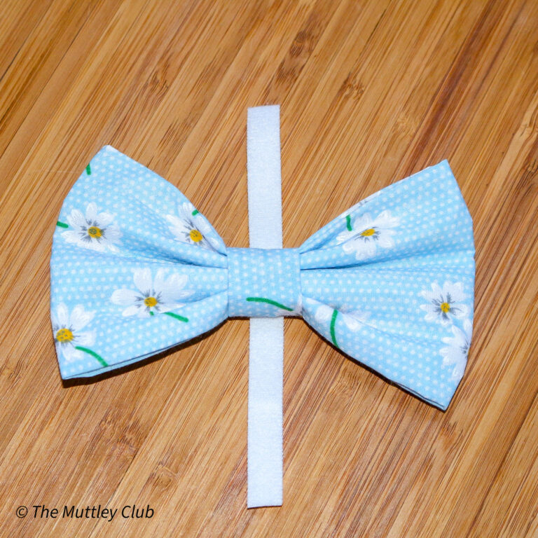 Oopsy DaisyBow Tie