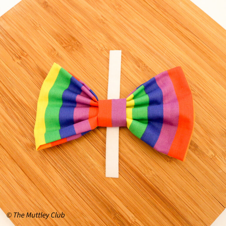 Loud and Proud Bow Tie