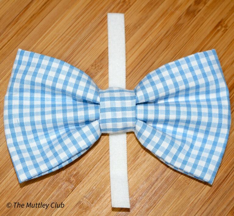 Forget Me Not Handmade Bow Tie